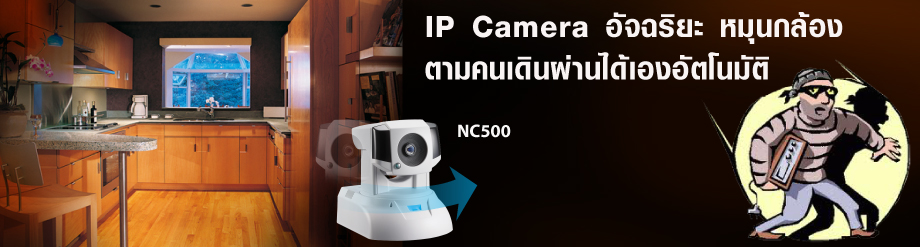 Slide 6