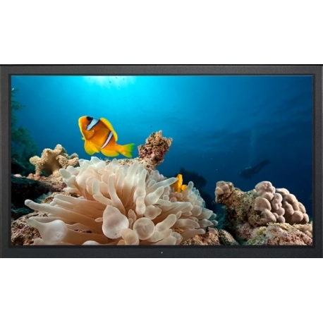 16:9 (FHD) Professional and Versatile 55" LED Monitor