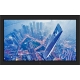 16:9 (FHD) Professional and Versatile 23" LED Monitor