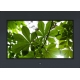 16:9 (FHD) Professional and Versatile 17" LED Monitor