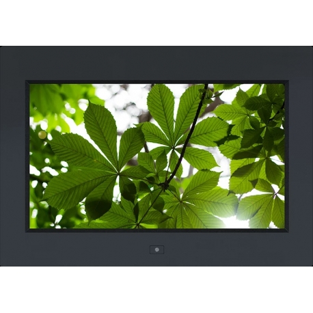 16:9 (FHD) Professional and Versatile 17" LED Monitor