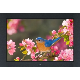 16:10 Professional and Versatile 17" LED Monitor