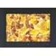 16:10 Professional and Versatile 17" LED Monitor