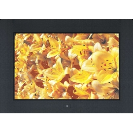 16:10 Professional and Versatile 17" LED Monitor