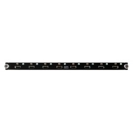 HDMI Output Module