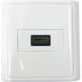 HDMI Wall Plate