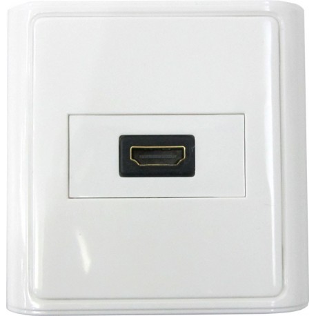 HDMI Wall Plate