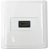 HDMI Wall Plate