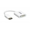 DisplayPort to DVI Adapter