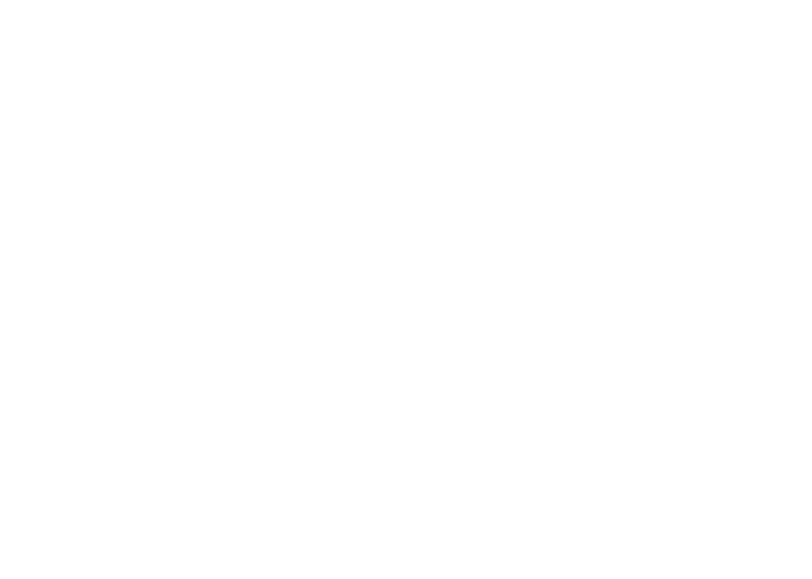 04software.png