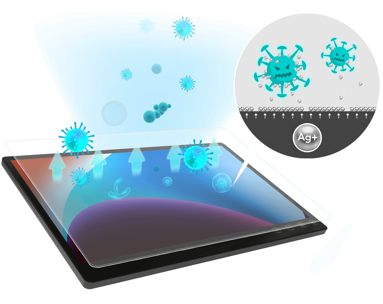 T151B-anti-bacterial-1.png